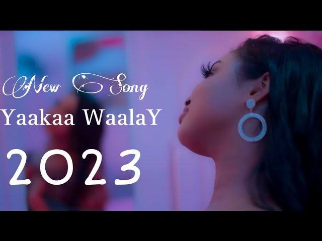 WARDA HAPPY2023 | YAA KAA WAALAY | OFFICIAL VIDEO