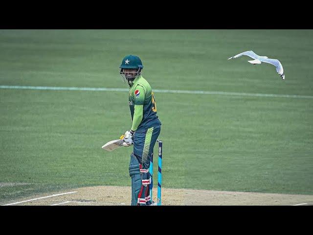 Babar Azam 50(29)* Vs New Zealand 2nd T20 2018 Ball By Ball Highlights