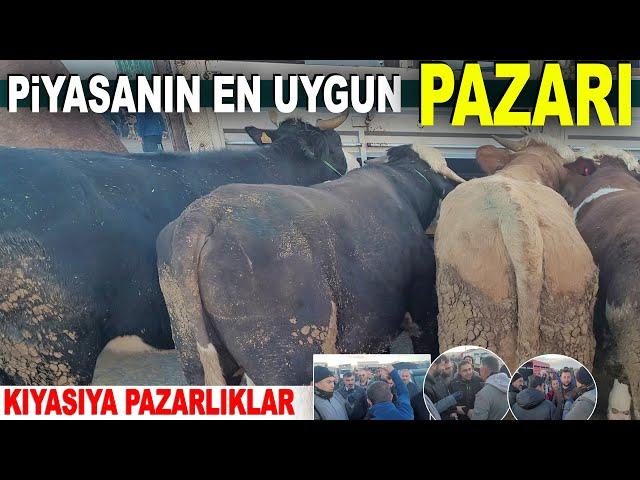 İstanbul Tuzla Mezbaha Aydınlı Hayvan Pazarı Fiyatları 13 Kasım 2024