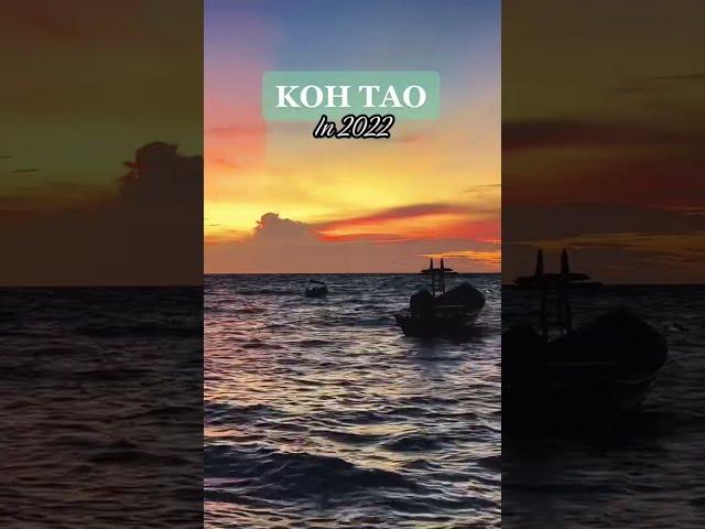 Koh Tao Thailand || Mini Guide 