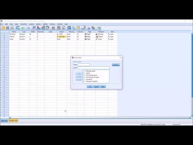 Levels of Measurement in SPSS (Nominal, Ordinal, & Scale)