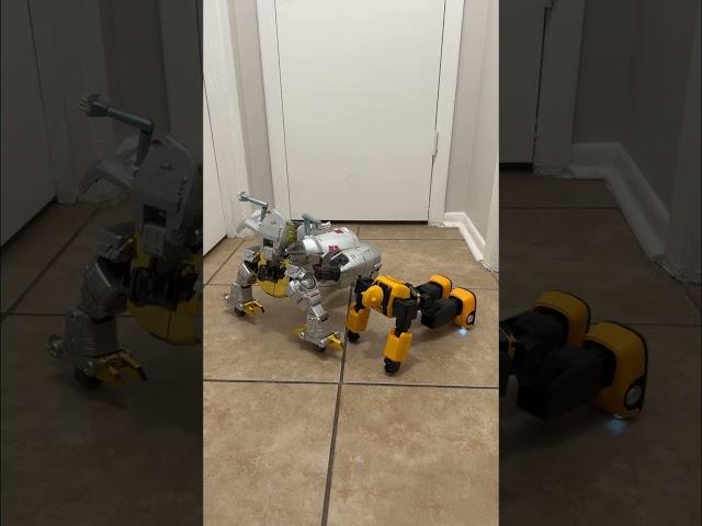 Bumblebee & Grimlock workout #transformers #bumblebee #grimlock #shorts #robot #workout #cool #fun