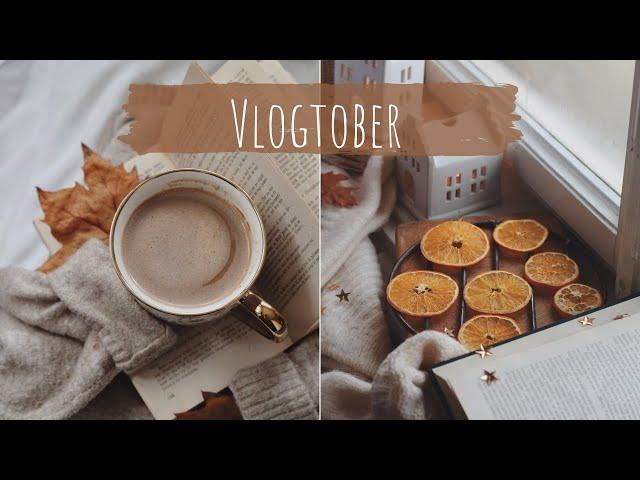 Vlogtober Day 3 Why Ae People Clearing Off Shelves of Toilet Paper Again!