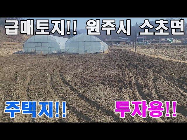 원주토지매매 원주시 소초면 전원주택지 토지매매 원주IC 5분거리 공장 창고 가능한 토지입니다.