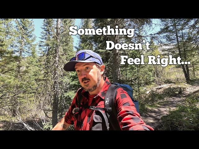 Backpacking in Grizzly Country ...and Tales of Close Encounters