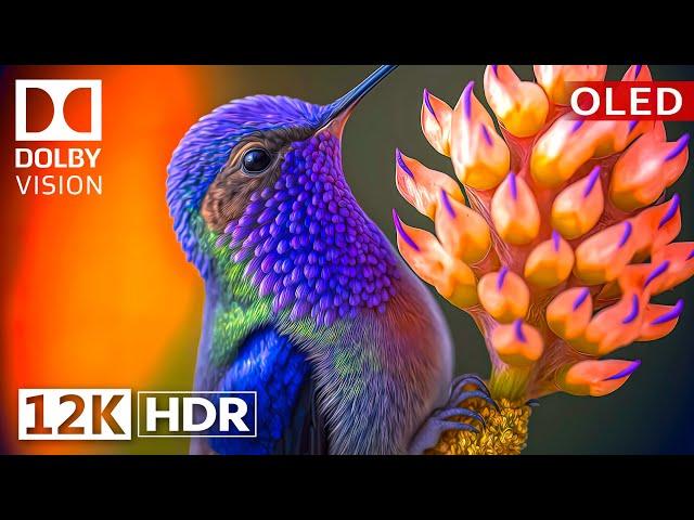 Dolby Vision 12K HDR 120fps OLED Nature & Wildlife - Epic Visuals