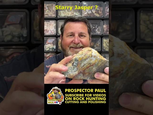 Cutting a Piece of Stary Jasper  #rockhounders #crystals #gemstone #geology #gems  #rockhound