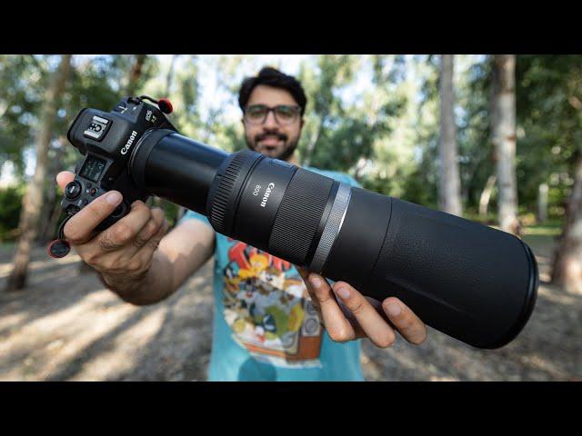 BEST Budget Wildlife Photography Lens? Canon RF 800mm f/11 Lens Review