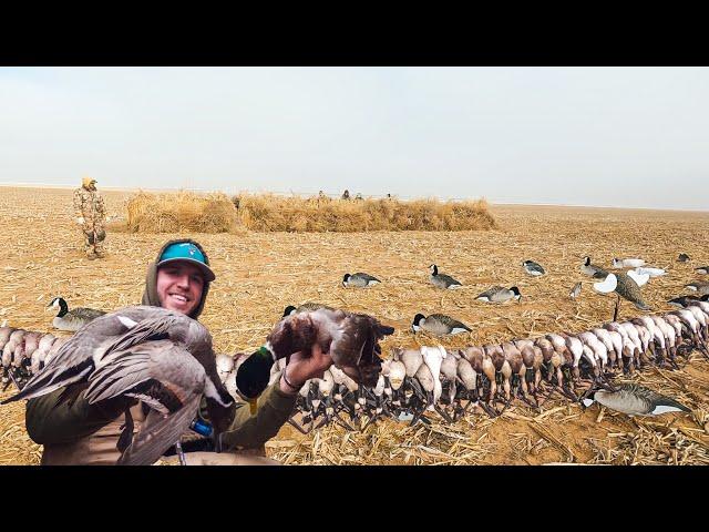 CRAZY TEXAS FIELD DUCK HUNTING!!