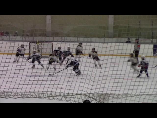 Sibir Novosibirsk - Blues Juniors 06