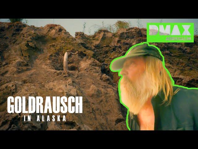 Ein Schatz der Urzeit | Die Schatzsucher - Goldrausch in Alaska | DMAX Adrenalin