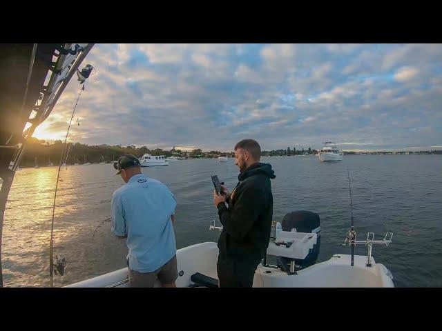 Mulloway fishing on the swan river | Western Australia | My biggest mulloway.