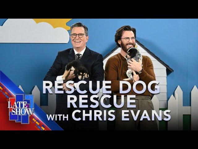 Rescue Dog Rescue with Chris Evans