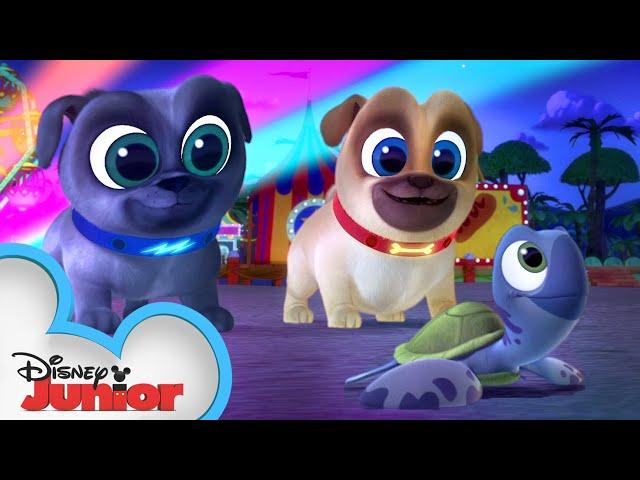 Bingo and Rolly Save the Sea Turtles | Puppy Dog Pals | Disney Junior