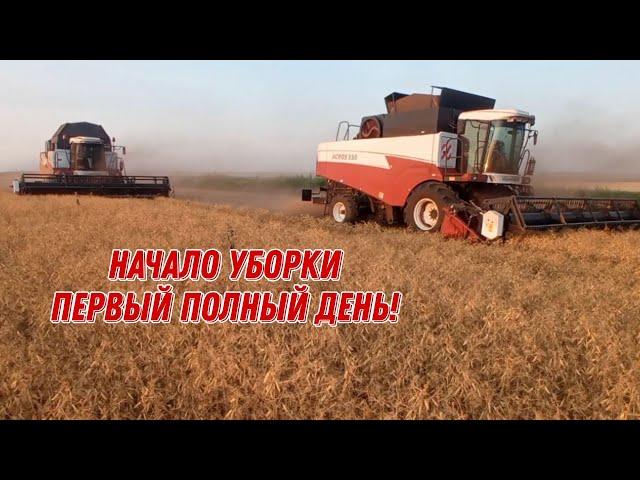 | Уборка гороха | Начало уборочной страды 2024 17.07.24 | 