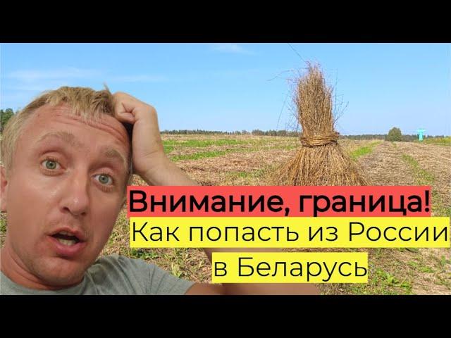 Из России в Беларусь на машине. Стоит ли так ехать?