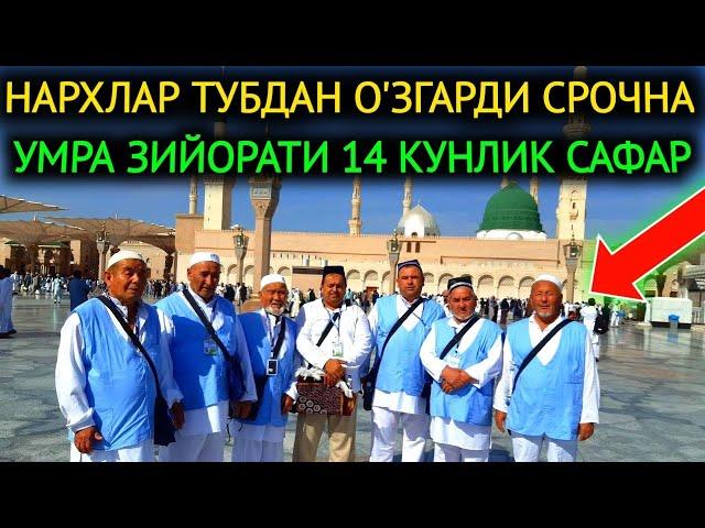 НАРХЛАР ТУБДАН О'ЗГАРДИ СРОЧНА,УМРА ЗИЙОРАТИГА 14-КУНЛИК САФАР ПРИМОЙ РЕЙСЛАР.УМРА ЗИЙОРАТИ 2024