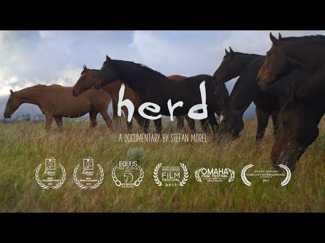 HERD - A Spiritual Journey. FULL AWARD WINNING DOCUMENTARY!