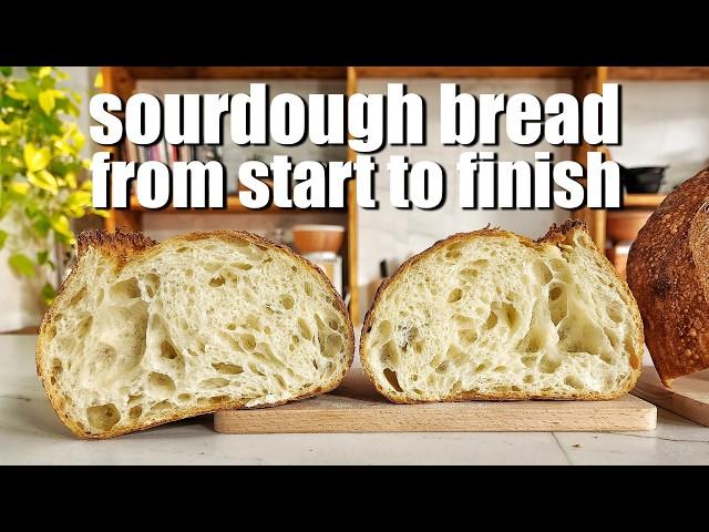 Beautiful Sourdoguh Bread From Start to Finish | Sourdough Bread Recipe