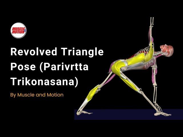 Revolved Triangle: Improve Rotation & Avoid Mistakes