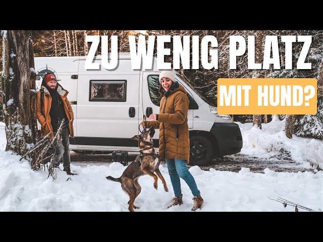 VANLIFE mit HUND | Herausforderungen mit Hund auf Reisen | Vanlife Europe Ep #27