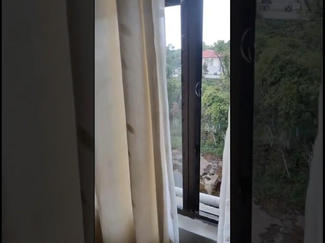What a view | #viralvideo #travel #shillongpeak #nature #shorts