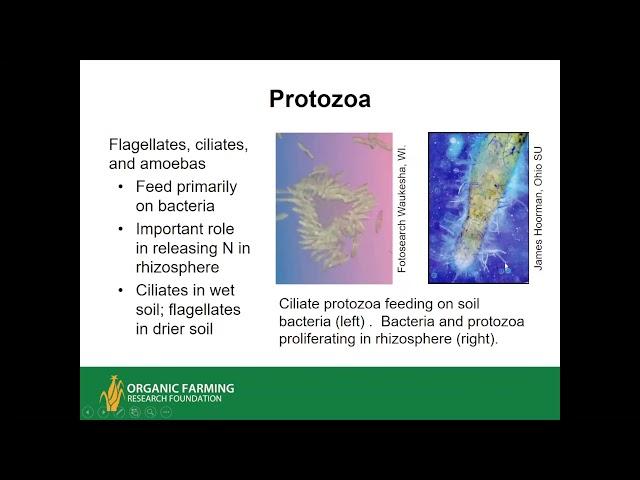 Understanding and Managing Soil Biology for Soil Health and Crop Production