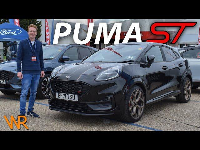 Ford Puma ST Gold Edition - This or a Fiesta ST? | WorthReviewing