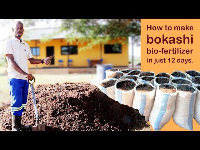 Making and using bokashi bio-fertilizer in just 12 days.