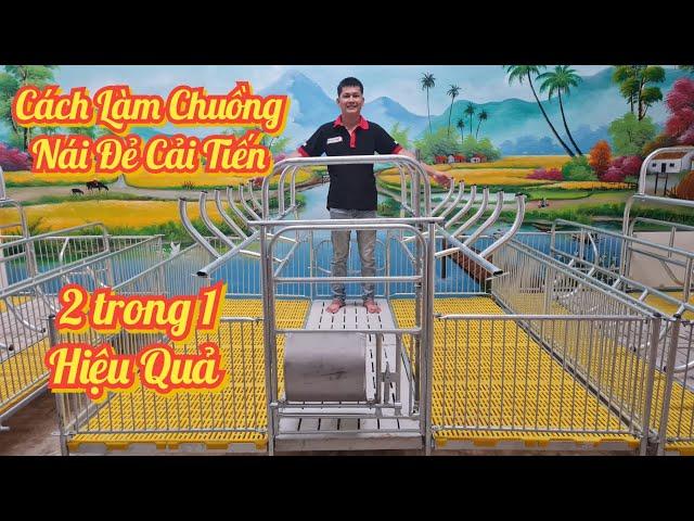 Cách làm Chuồng nái đẻ kết hợp cai sữa 2 trong 1 | khởi nghiệp TV