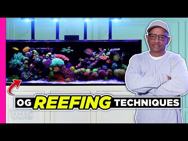 Mastering Reef keeping: 20 Years of Simple Techniques