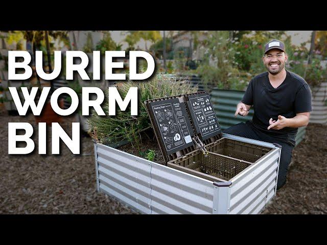 Worm Composting...Underground?! Subpod Review