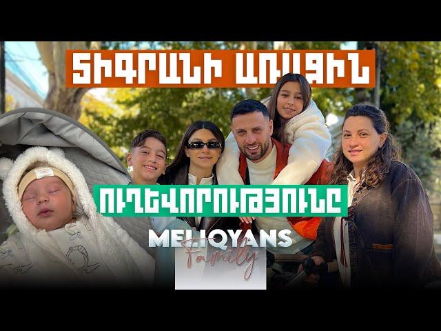 Տիգրանի առաջին ուղևորությունը ️ Meliqyans Vlog #21