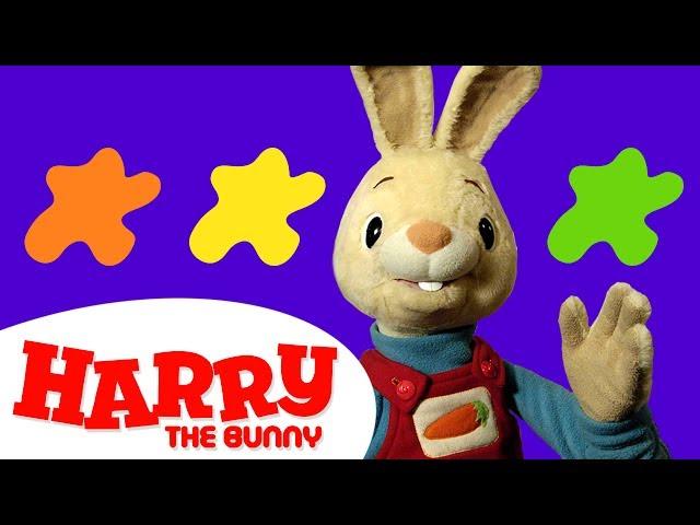 Learning Sounds and Colors for Kids | What are the Colors? | Harry the Bunny Videos for Children