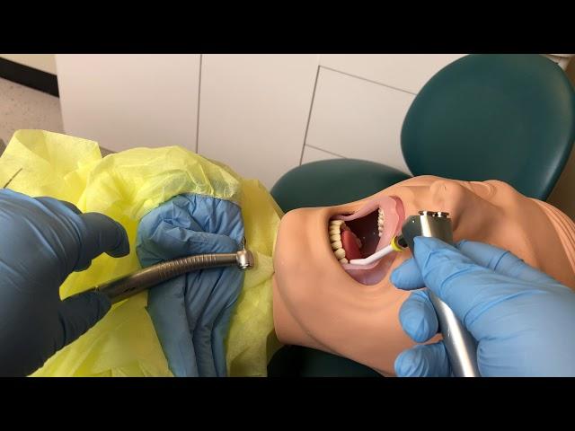 Transferring Dental Instruments