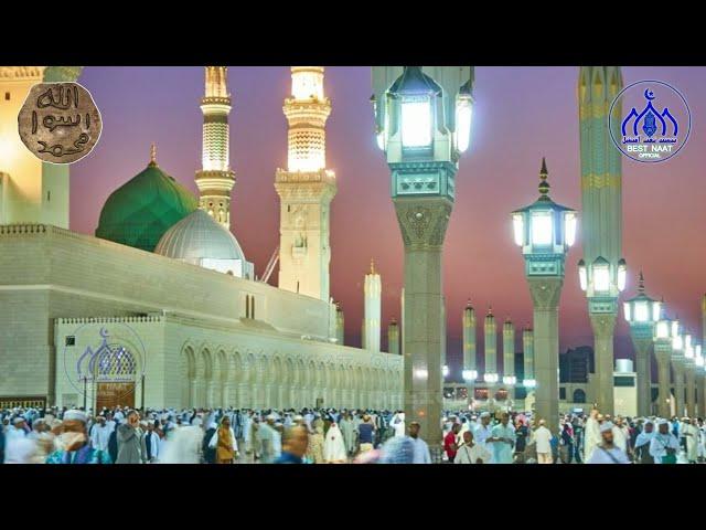 New Latest Sindhi Naat 2025 | Mola Denh Uho Dekhar Maan Madiny Teyari Kayan | Best Naat Official