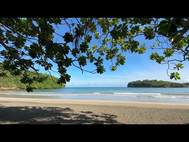 La Sagesse Beach in Grenada