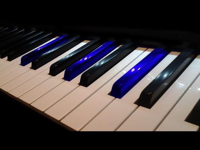 Korg Krome 88 - Key review