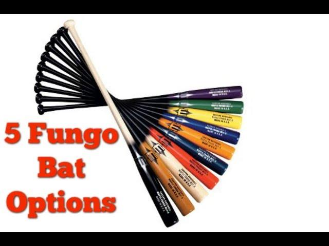 5 Fungo Bat Options For Every Baseball Coach