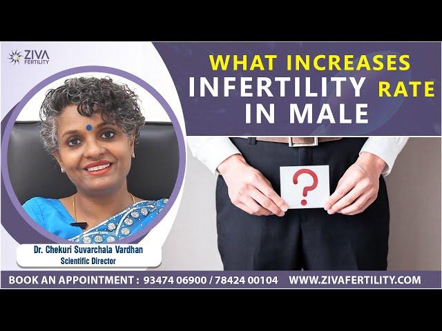 What increases male infertility rate || ZIVA fertility English || Dr. Chekuri Suvarchala