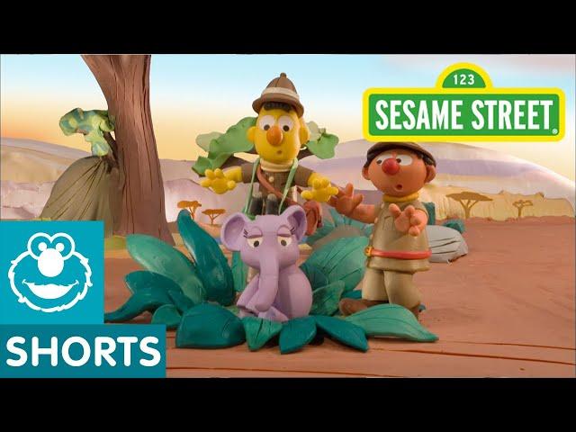 Sesame Street: Lost Elephant | Bert and Ernie's Great Adventures