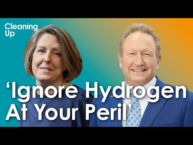 Is The Tide Turning On Hydrogen? Ep210: Andrew Forrest