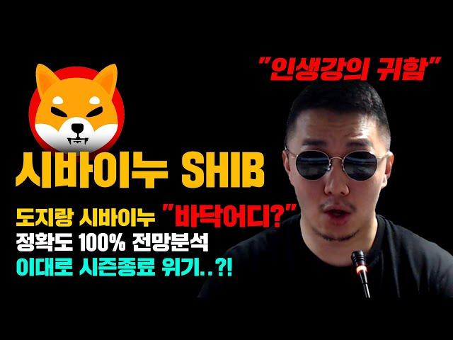 시바이누 SHIB [긴급] 도지코인, 시바이누 바닥은 "어디쯤?" 정확도 100% 전망분석, 이대로 시즌종료 위기 올까..? #코인시황