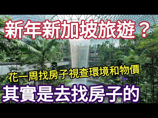 結婚十年從名古屋到上海到東京,這次是新加坡,移住前民生物價視察,小販中心,巿場，新加坡美食