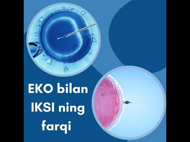 EKO bilan IKSI ning farqi haqida malumot #bepushtlik #eko #homiladorlik #kista #mioma #jinsiyhayot