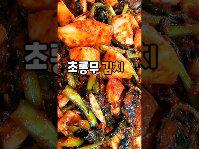 알타리보다 맛있는 초롱무김치 간단한 양념비율 레시피 #shorts