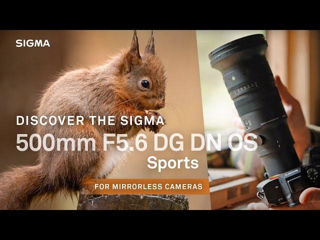 NEW Sigma 500mm F5.6 DG DN OS | Sports. What a lens!!