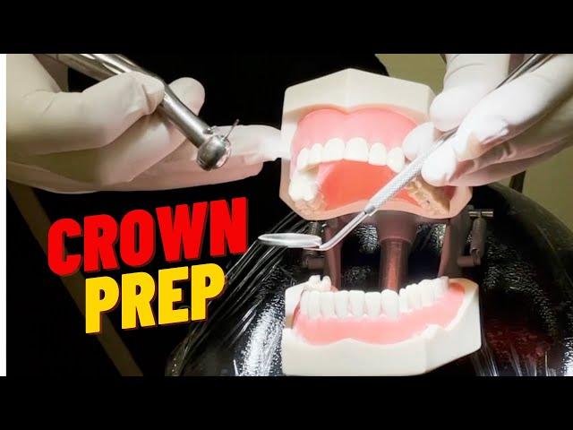 What to Expect and How to Practice for the Dental Bench Exam | In Office to Hands On Dental Training