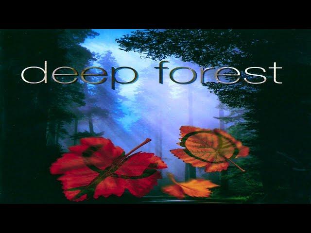 The Best of Deep ForestЛучшие песни этно-проекта Deep ForestThe Best Collection of Deep Forest