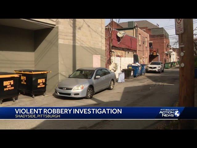 Violent robbery investigation in Shadyside